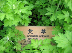 優道(dào)汽車香薰336.png 優道(dào)汽車香薰336.png